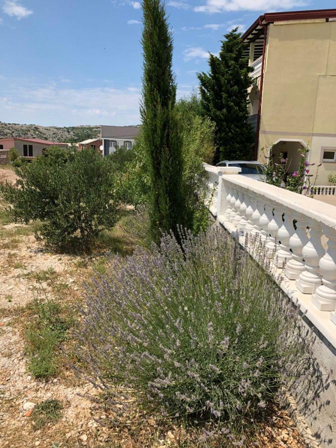 Apartmani Gabi Cesarica Eksteriør bilde